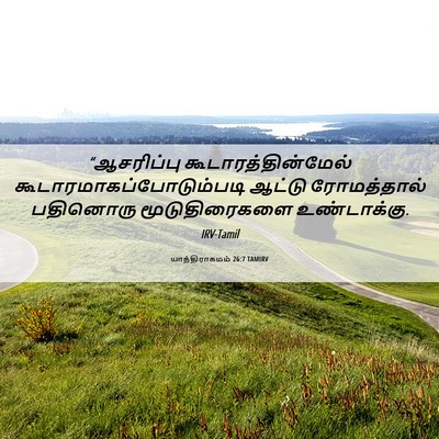 Picture 06 - யாத்திராகமம் 26:7 TAMIRV - “ஆசரிப்பு - Bible Verse Picture