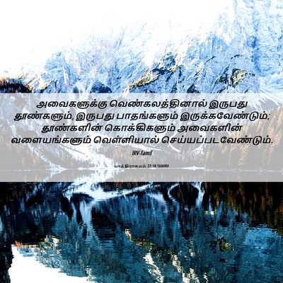 Picture 06 - யாத்திராகமம் 27:10 TAMIRV - அவைகளுக்கு - Bible Verse Picture