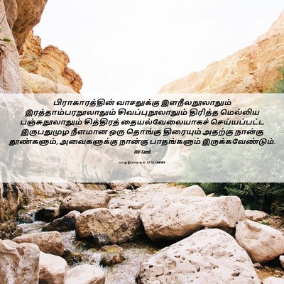Picture 06 - யாத்திராகமம் 27:16 TAMIRV - பிராகாரத்தின் - Bible Verse Picture