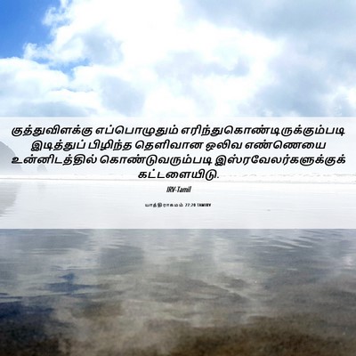 Picture 06 - யாத்திராகமம் 27:20 TAMIRV - குத்துவிளக்கு - Bible Verse Picture