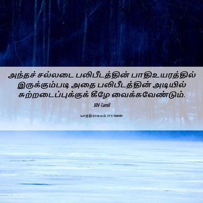 Picture 06 - யாத்திராகமம் 27:5 TAMIRV - அந்தச் சல்லடை - Bible Verse Picture