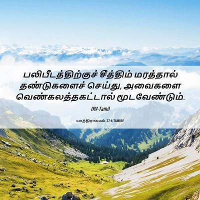 Picture 06 - யாத்திராகமம் 27:6 TAMIRV - பலிபீடத்திற்குச் - Bible Verse Picture