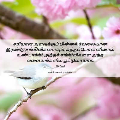 Picture 06 - யாத்திராகமம் 28:14 TAMIRV - சரியான அளவுக்குப் - Bible Verse Picture