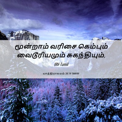 Picture 06 - யாத்திராகமம் 28:19 TAMIRV - மூன்றாம் வரிசை - Bible Verse Picture