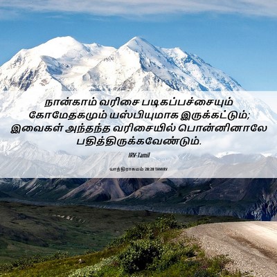 Picture 06 - யாத்திராகமம் 28:20 TAMIRV - நான்காம் வரிசை - Bible Verse Picture