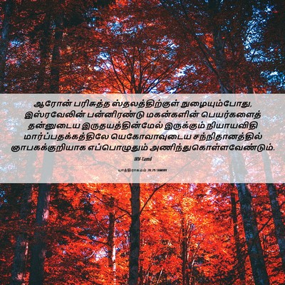 Picture 06 - யாத்திராகமம் 28:29 TAMIRV - ஆரோன் பரிசுத்த - Bible Verse Picture