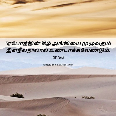 Picture 06 - யாத்திராகமம் 28:31 TAMIRV - “ஏபோத்தின் கீழ் - Bible Verse Picture