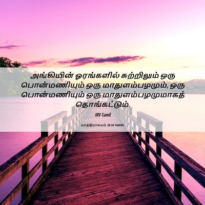 Picture 06 - யாத்திராகமம் 28:34 TAMIRV - அங்கியின் - Bible Verse Picture