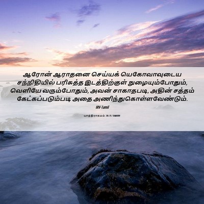 Picture 06 - யாத்திராகமம் 28:35 TAMIRV - ஆரோன் ஆராதனை - Bible Verse Picture