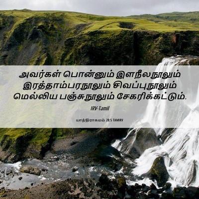 Picture 06 - யாத்திராகமம் 28:5 TAMIRV - அவர்கள் பொன்னும் - Bible Verse Picture