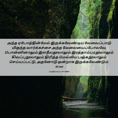 Picture 06 - யாத்திராகமம் 28:8 TAMIRV - அந்த - Bible Verse Picture