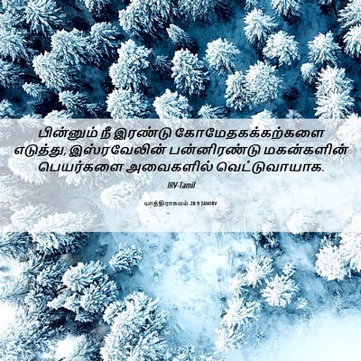 Picture 06 - யாத்திராகமம் 28:9 TAMIRV - பின்னும் நீ - Bible Verse Picture