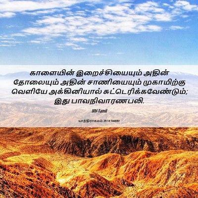 Picture 06 - யாத்திராகமம் 29:14 TAMIRV - காளையின் - Bible Verse Picture