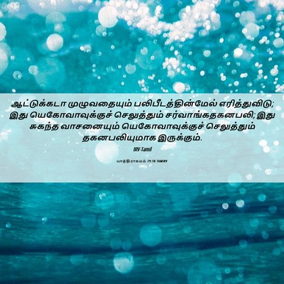 Picture 06 - யாத்திராகமம் 29:18 TAMIRV - ஆட்டுக்கடா - Bible Verse Picture