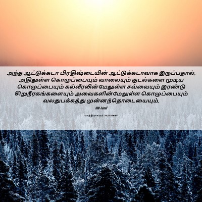 Picture 06 - யாத்திராகமம் 29:22 TAMIRV - அந்த ஆட்டுக்கடா - Bible Verse Picture