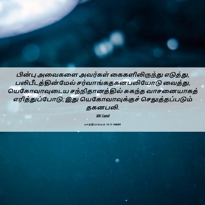 Picture 06 - யாத்திராகமம் 29:25 TAMIRV - பின்பு அவைகளை - Bible Verse Picture