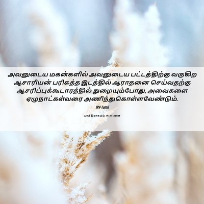 Picture 06 - யாத்திராகமம் 29:30 TAMIRV - அவனுடைய மகன்களில் - Bible Verse Picture