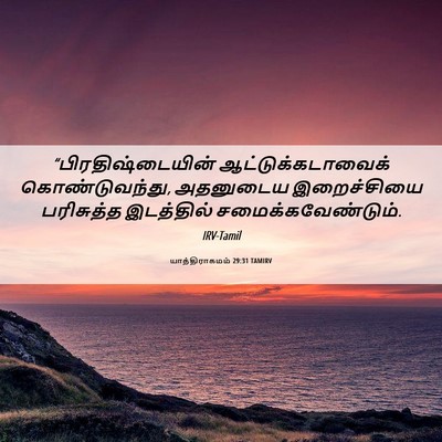 Picture 06 - யாத்திராகமம் 29:31 TAMIRV - “பிரதிஷ்டையின் - Bible Verse Picture