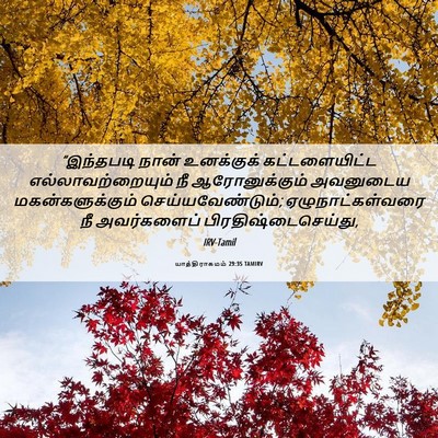 Picture 06 - யாத்திராகமம் 29:35 TAMIRV - “இந்தபடி நான் - Bible Verse Picture