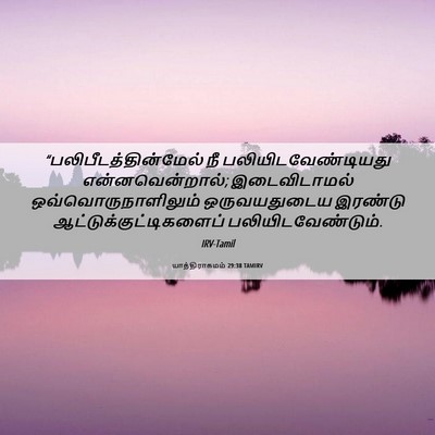 Picture 06 - யாத்திராகமம் 29:38 TAMIRV -  - Bible Verse Picture
