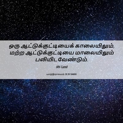 Picture 06 - யாத்திராகமம் 29:39 TAMIRV - ஒரு - Bible Verse Picture