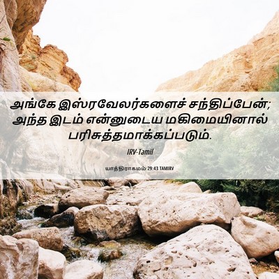 Picture 06 - யாத்திராகமம் 29:43 TAMIRV - அங்கே - Bible Verse Picture