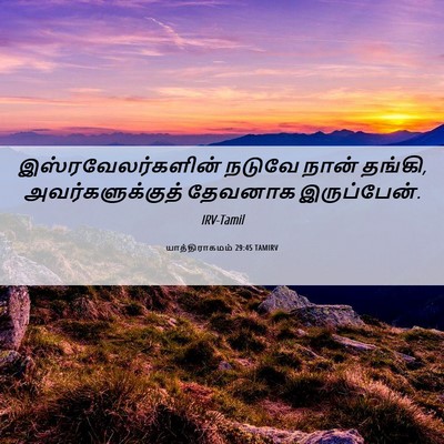 Picture 06 - யாத்திராகமம் 29:45 TAMIRV - இஸ்ரவேலர்களின் - Bible Verse Picture