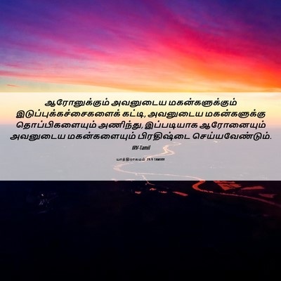 Picture 06 - யாத்திராகமம் 29:9 TAMIRV - ஆரோனுக்கும் - Bible Verse Picture