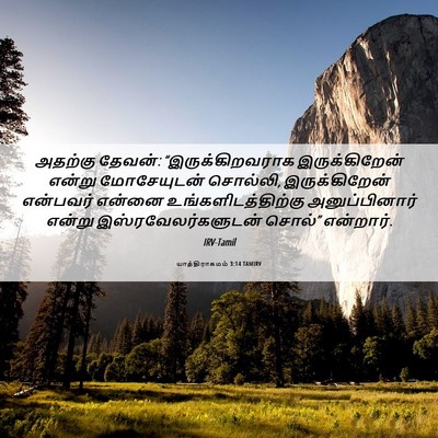 Picture 06 - யாத்திராகமம் 3:14 TAMIRV - அதற்கு தேவன்: - Bible Verse Picture