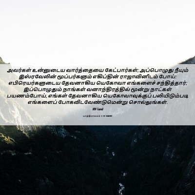 Picture 06 - யாத்திராகமம் 3:18 TAMIRV - அவர்கள் உன்னுடைய - Bible Verse Picture