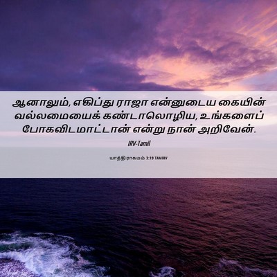 Picture 06 - யாத்திராகமம் 3:19 TAMIRV - ஆனாலும், எகிப்து - Bible Verse Picture