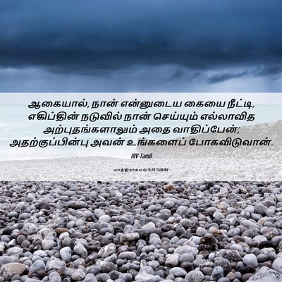 Picture 06 - யாத்திராகமம் 3:20 TAMIRV - ஆகையால், நான் - Bible Verse Picture