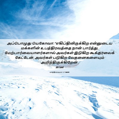 Picture 06 - யாத்திராகமம் 3:7 TAMIRV - அப்பொழுது யெகோவா: - Bible Verse Picture