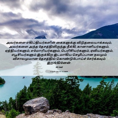 Picture 06 - யாத்திராகமம் 3:8 TAMIRV - அவர்களை - Bible Verse Picture