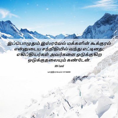 Picture 06 - யாத்திராகமம் 3:9 TAMIRV - இப்பொழுதும் - Bible Verse Picture
