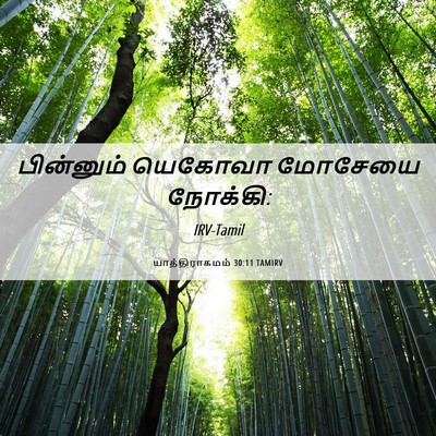 Picture 06 - யாத்திராகமம் 30:11 TAMIRV - பின்னும் யெகோவா - Bible Verse Picture
