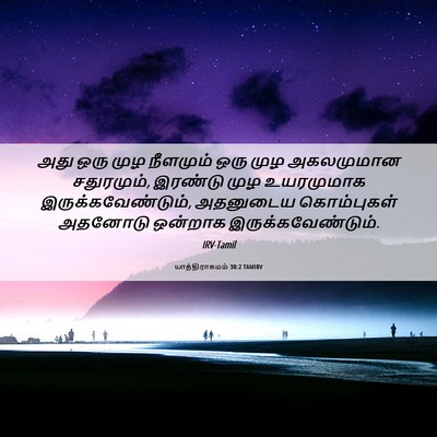 Picture 06 - யாத்திராகமம் 30:2 TAMIRV - அது ஒரு முழ - Bible Verse Picture