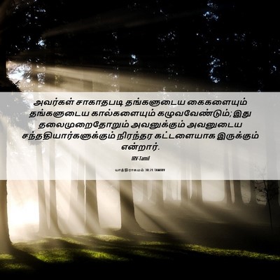 Picture 06 - யாத்திராகமம் 30:21 TAMIRV - அவர்கள் சாகாதபடி - Bible Verse Picture