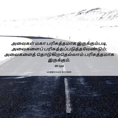 Picture 06 - யாத்திராகமம் 30:29 TAMIRV - அவைகள் மகா - Bible Verse Picture