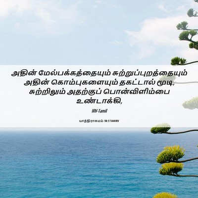 Picture 06 - யாத்திராகமம் 30:3 TAMIRV - அதின் - Bible Verse Picture