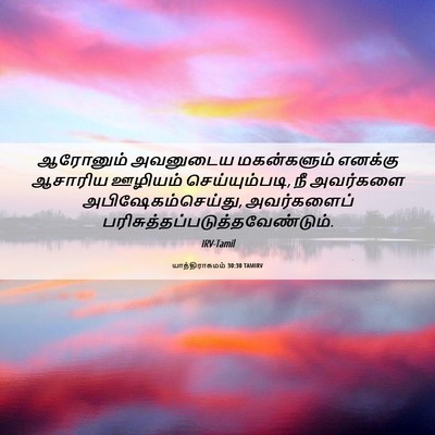 Picture 06 - யாத்திராகமம் 30:30 TAMIRV - ஆரோனும் அவனுடைய - Bible Verse Picture