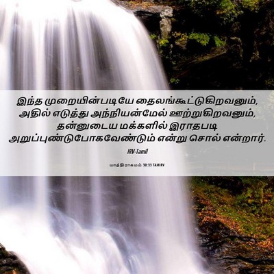 Picture 06 - யாத்திராகமம் 30:33 TAMIRV - இந்த - Bible Verse Picture