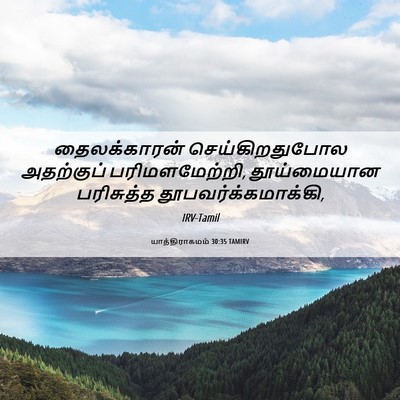 Picture 06 - யாத்திராகமம் 30:35 TAMIRV - தைலக்காரன் - Bible Verse Picture