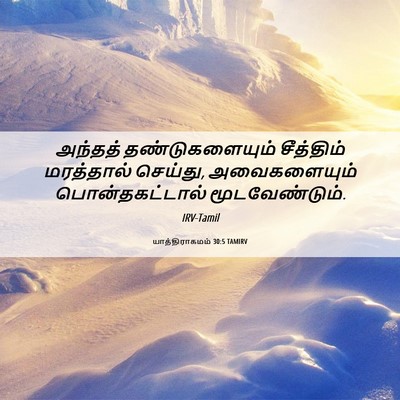 Picture 06 - யாத்திராகமம் 30:5 TAMIRV - அந்தத் - Bible Verse Picture