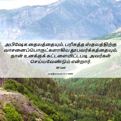 Picture 06 - யாத்திராகமம் 31:11 TAMIRV - அபிஷேக - Bible Verse Picture
