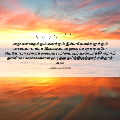 Picture 06 - யாத்திராகமம் 31:17 TAMIRV - அது என்றைக்கும் - Bible Verse Picture