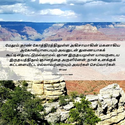 Picture 06 - யாத்திராகமம் 31:6 TAMIRV - மேலும், தாண் - Bible Verse Picture