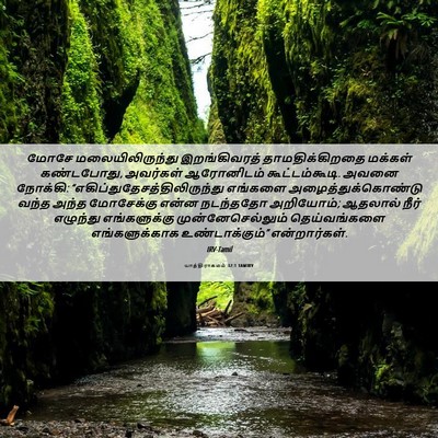 Picture 06 - யாத்திராகமம் 32:1 TAMIRV - மோசே - Bible Verse Picture