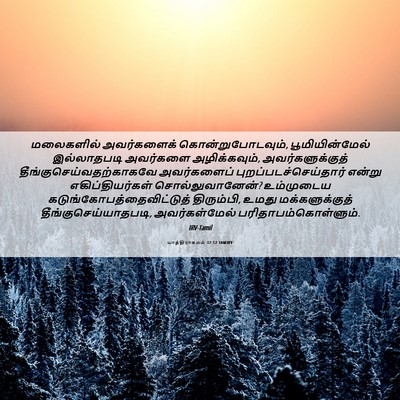 Picture 06 - யாத்திராகமம் 32:12 TAMIRV - மலைகளில் - Bible Verse Picture