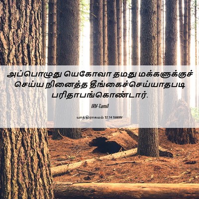 Picture 06 - யாத்திராகமம் 32:14 TAMIRV - அப்பொழுது யெகோவா - Bible Verse Picture